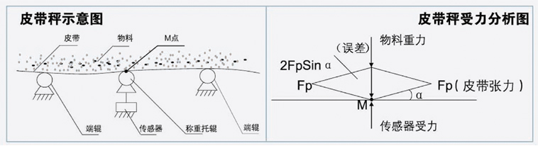 漳州皮带秤